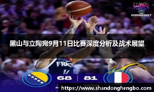 黑山与立陶宛9月11日比赛深度分析及战术展望